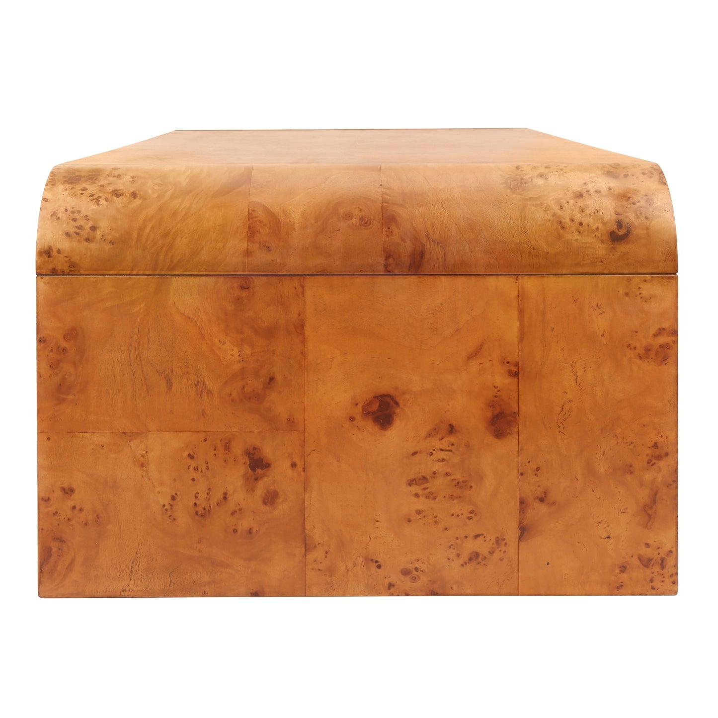 NPD Furniture Adriel Burl Wood Coffee Table